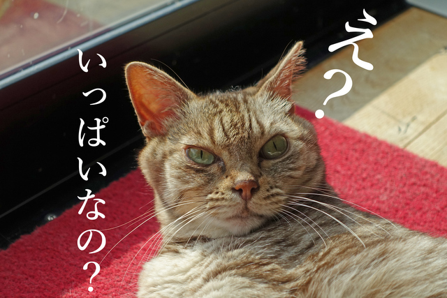 DSC00076mc-001