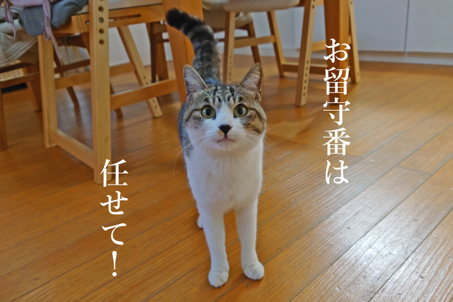 DSC_8945mc