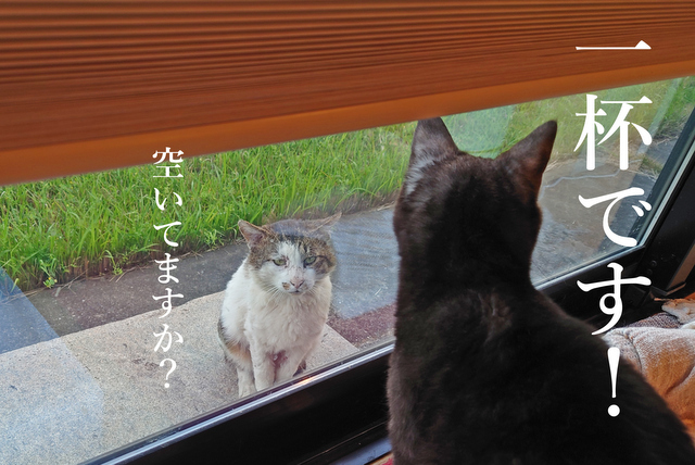 DSC_9109mc-001
