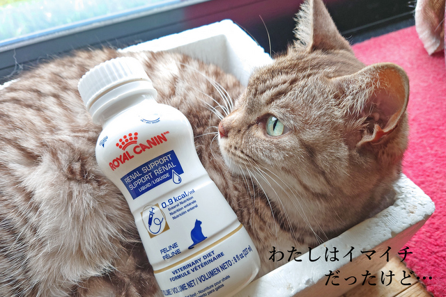 DSC_9251mc